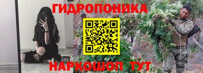 молекула духа Кулебаки
