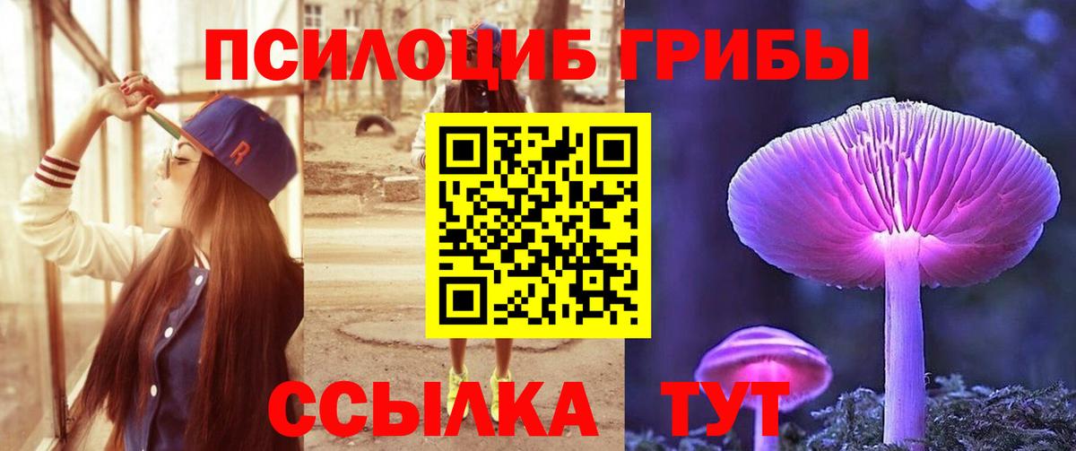 Каменка  Галлюциногенные грибы Cubensis  дарнет шоп  Вход с VPN 